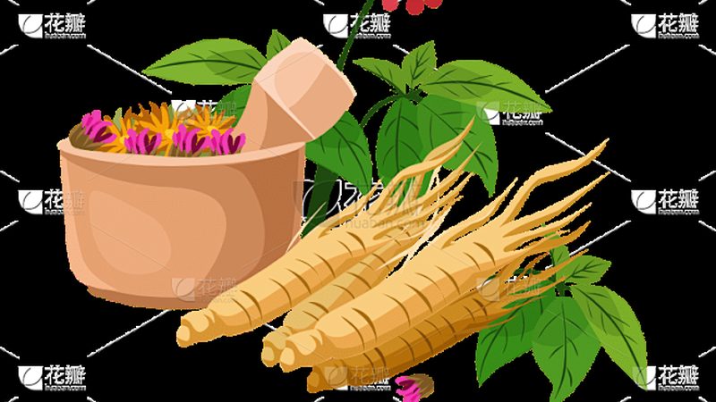 按摩披肩：如何挑选适合自己的品牌