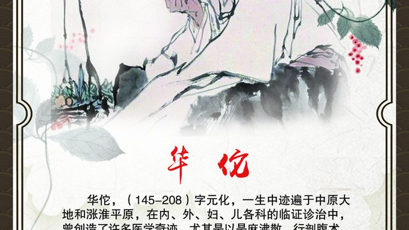 全身推拿价格构成揭秘：揭秘项目与价值