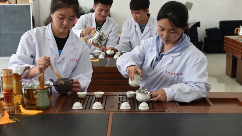 气罐与火罐：初学者如何选择适合自己的拔罐工具